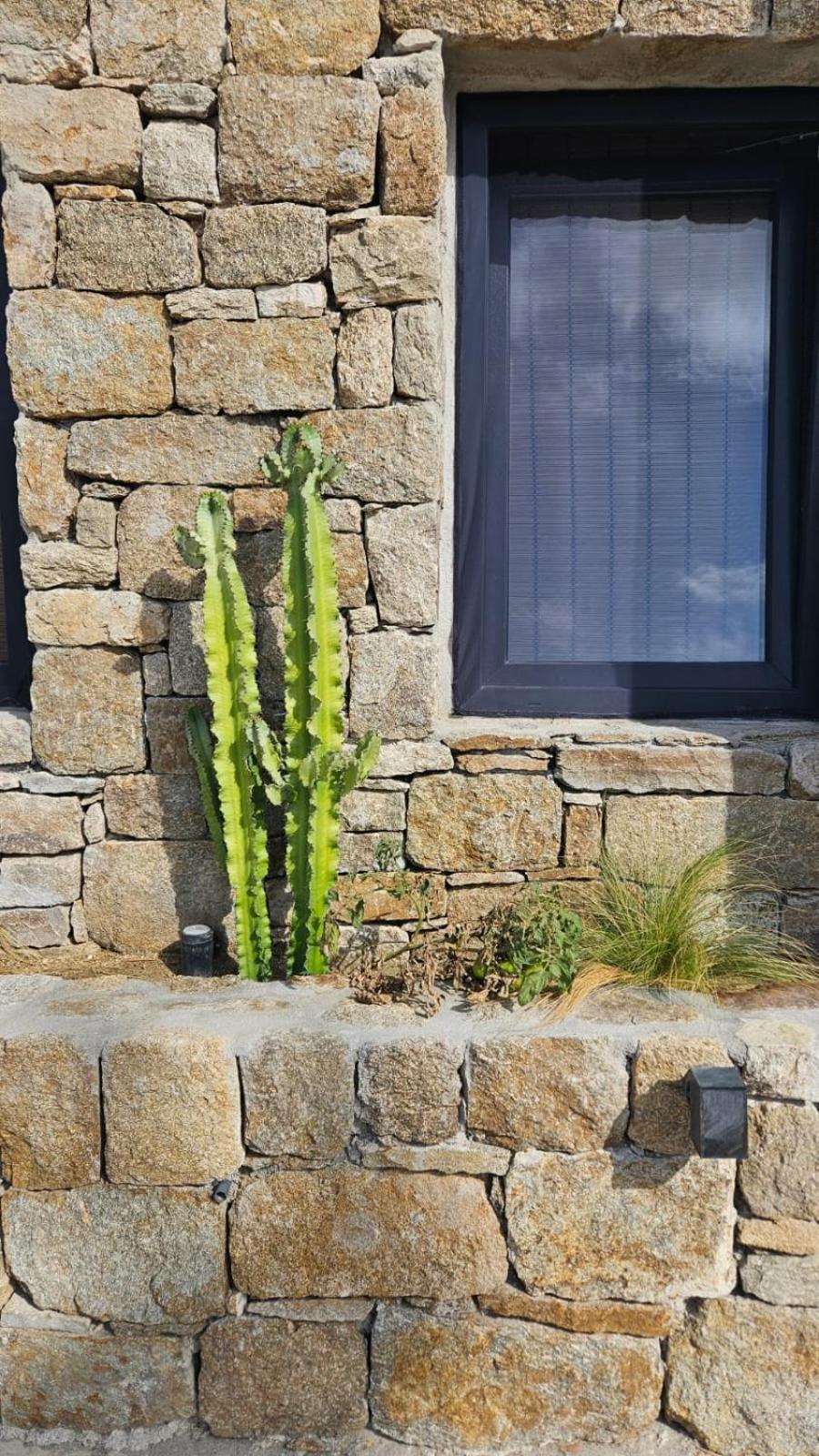Elli Tropical Suites Mykonos Town ภายนอก รูปภาพ